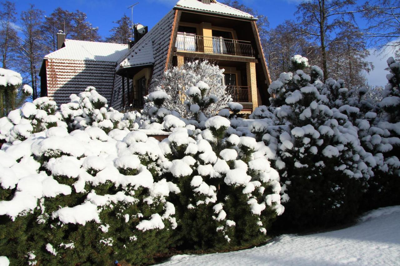 Boutique Vila Artemide Villa Palanga Exterior photo